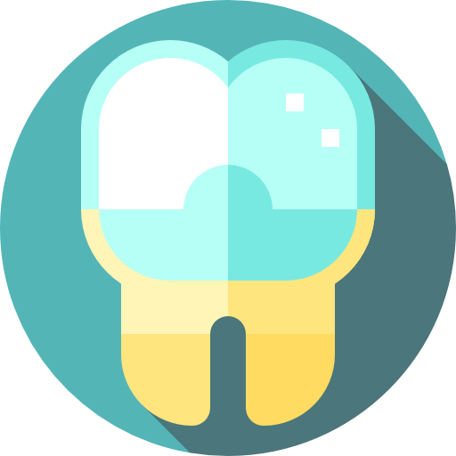 Molar crown
